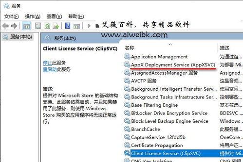 組(zu)件服務計(ji)算機(ji)卡(ka)死？解(jie)析(xi)wsappx進程占(zhan)用系統資(zi)源過(guo)多導致電腦卡(ka)死的解(jie)決(jue)方(fang)法